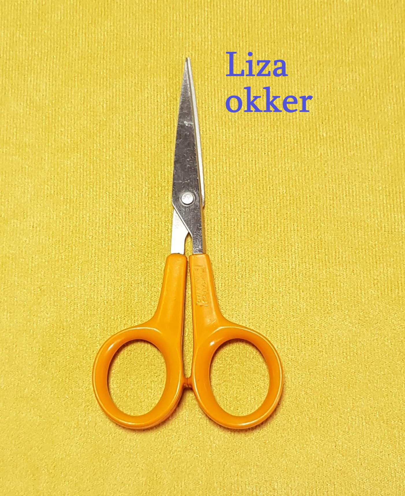 liza okker